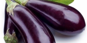Fresh Long Brinjal