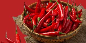 Red Chilli