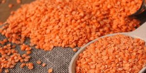 Red Masoor Dal