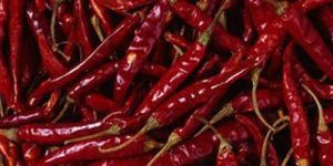 Dry Chillies