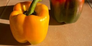 Bell Pepper