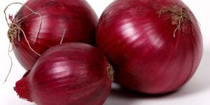 Fresh Red Onion