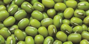 Mung Beans