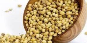 Natural Coriander Seeds