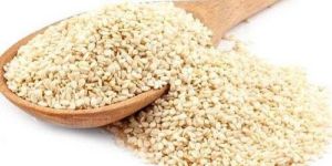 Natural White Premium Sesame Seeds