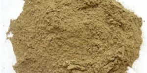 Protein Rich Fish Meal