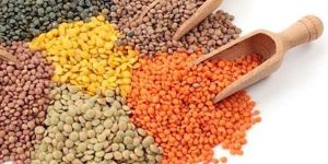 Yellow Green Orange Lentils