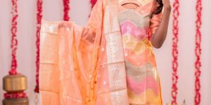 Organza Banarasi Dress Material
