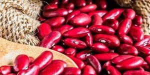 Dark Red Kidney Beans