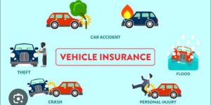 Vehicle Insurance