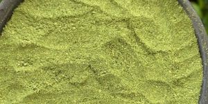 Moringa Leaf Fresh Dry Powder