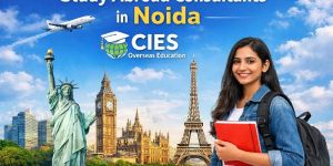 Study Abroad Consultants