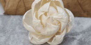 Peony Sola Wood Flower