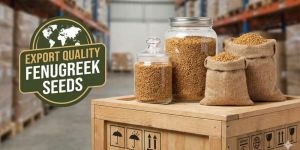 Fenugreek Seed