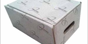 Duplex Corrugated Box