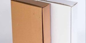 Electronics Packaging Corrugated Box
