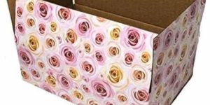 Printed Carton Box
