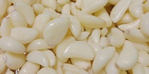 Fresh Peeled Garlic