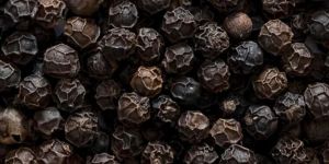 Black Pepper
