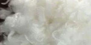 Raw Polyester Fiber