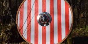 Viking Shield