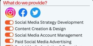 Social Media Marketing Service