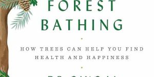 Forest Bathing in Verse Reading Book