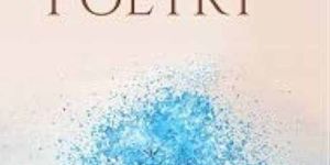 Format Specific Micro Poetry Book