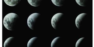 The Lunar Cycle Phases of the Moon Reading Book