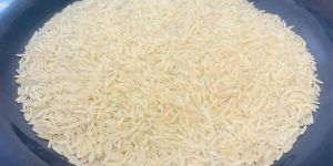 1509 Golden Sella Rice