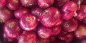 Red Onion