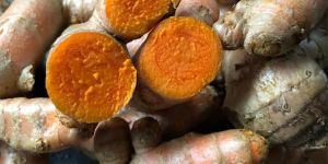 Dry Turmeric