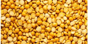 Pulses