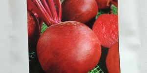 Hybrid Beet Root Seeds