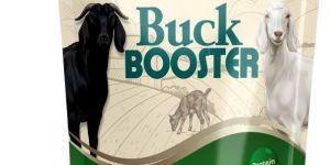 buck booster cattle feed