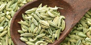 Fennel Seeds
