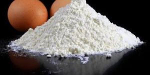 Egg Shell Powder