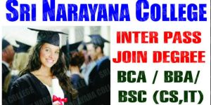 Distance Education Degree College