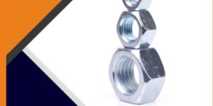 Hex Nuts