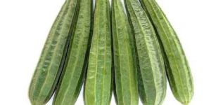 Fresh Ridge Gourd