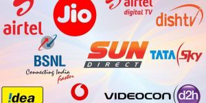 sunlight recharge digital franchise