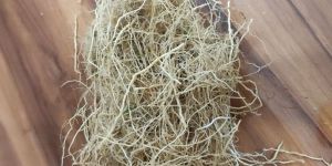 Vetiver Root