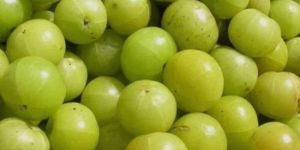 Green Amla