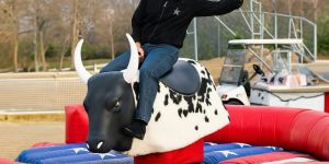 Mechanical Bull Ride