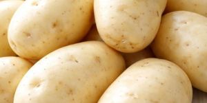 Potato