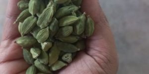Green Cardamom