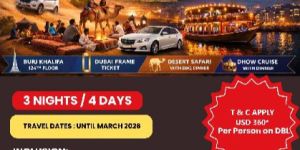 dssf dubai tour package services