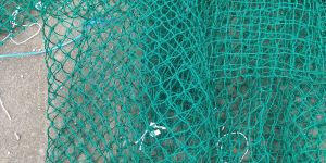 Sports Nets