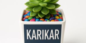 Karikar Live Succulent Plant (Echeveria) in Premium Pot