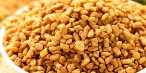 Fenugreek Seeds